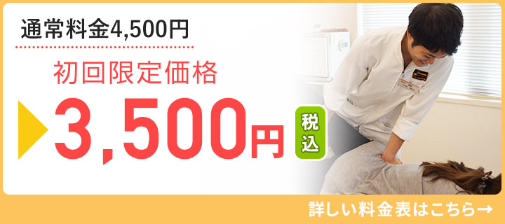 料金